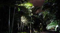 Gardens at Night-19.jpg